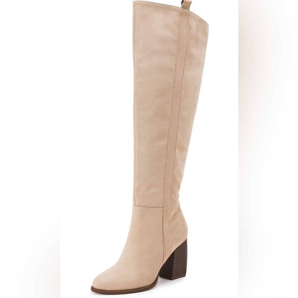 Thigh high suede boots